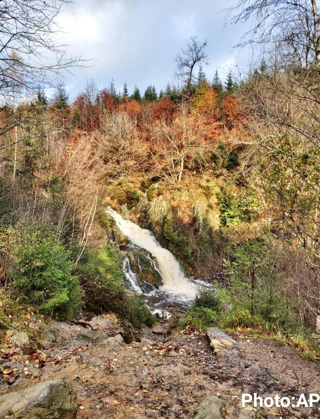 La Taniere Du Lac Robertville Exteriör bild